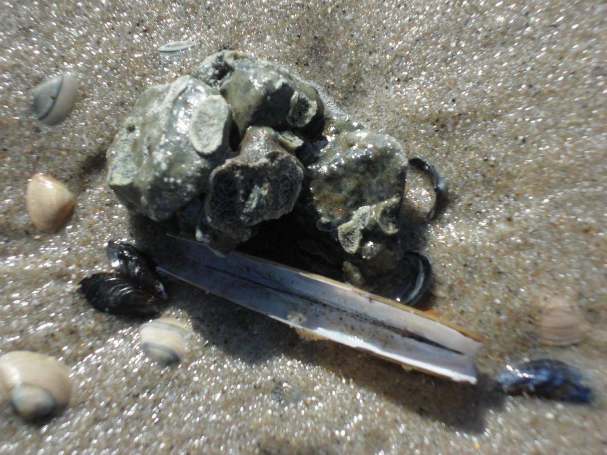 Strandleben 1 * Grömitz